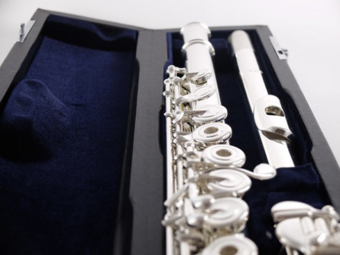 Какие бывают виды флейт?