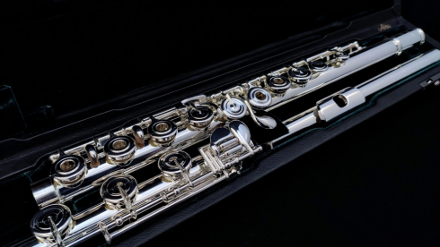 Поступление флейт бренда Altus