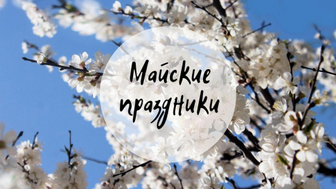 Работа центра в праздничные дни