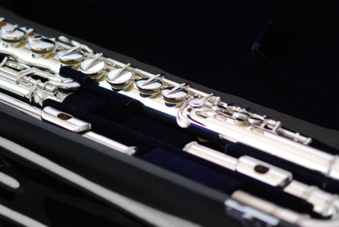 Флейта января