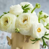 gulnara6064d6a0024c84.98345121.jpg