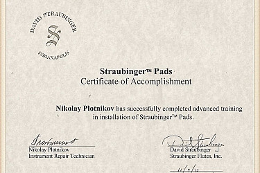 Дипломы и сертификаты Николая Плотникова