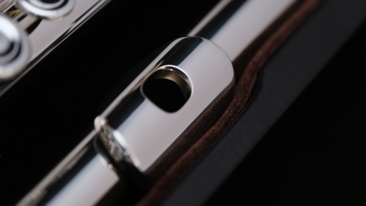 Флейта Di Zhao - DZ 801BEF с зол. райзером 10K 