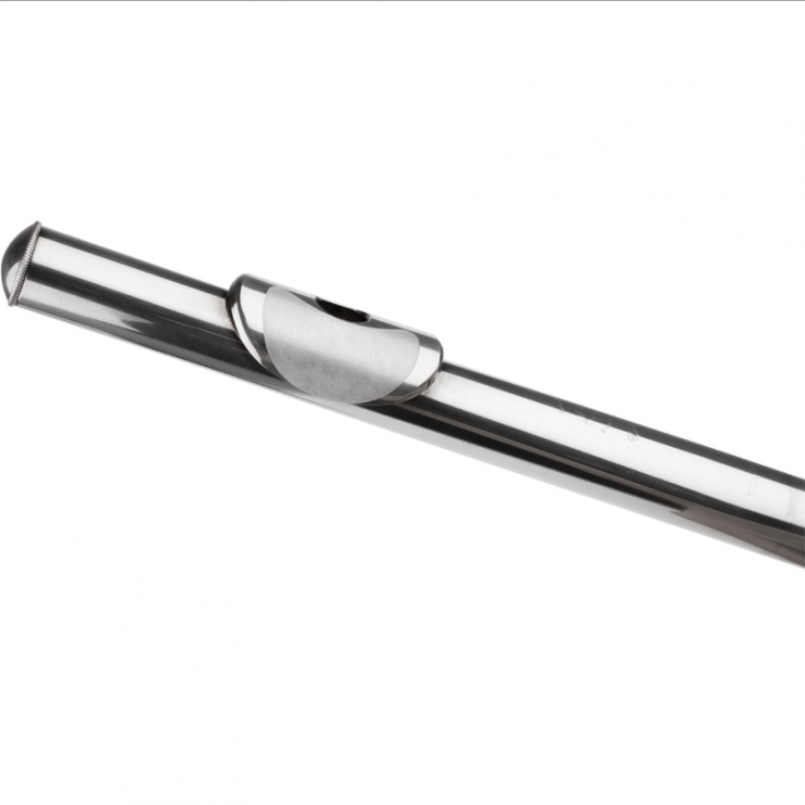 Protec Flute Lip Plate Patch - Наклейка на лабиум (12 штук в упаковке)