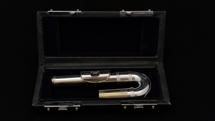 Изогнутая головка Di Zhao (б/у) уценка