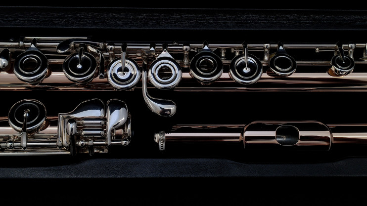 Флейта Powell Conservatory Aurumite 9K