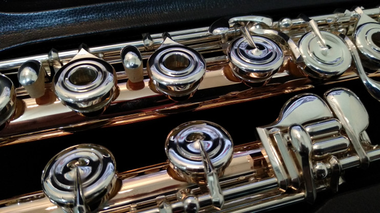 Флейта Powell Conservatory Aurumite 9K