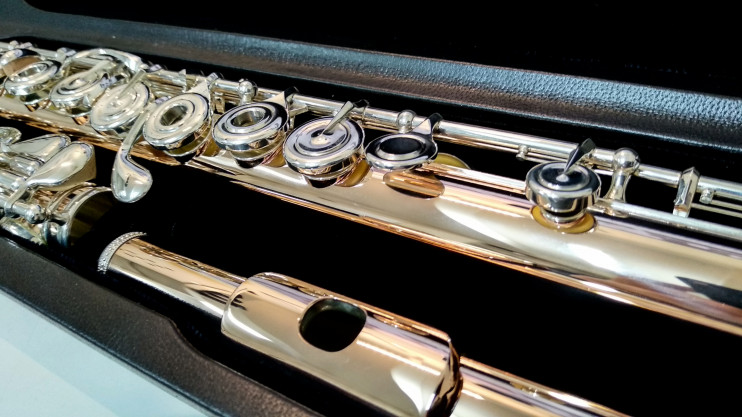 Флейта Powell Conservatory Aurumite 9K