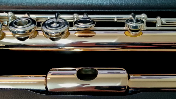 Флейта Powell Conservatory Aurumite 9K