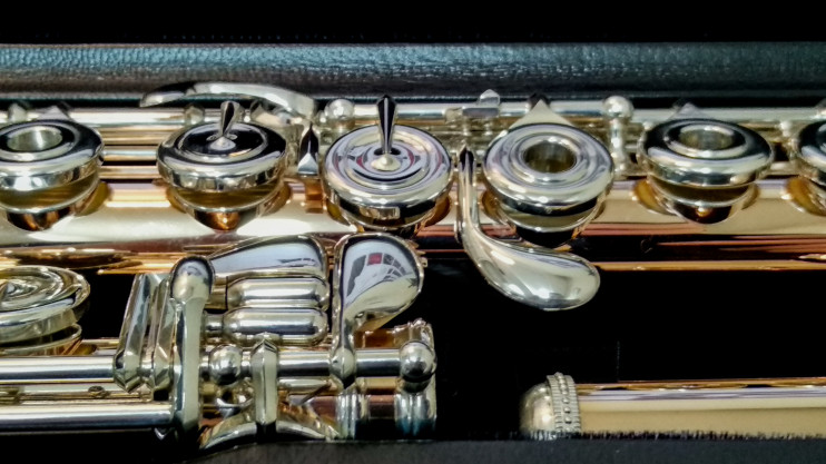 Флейта Powell Conservatory Aurumite 9K