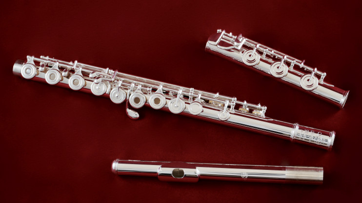 Флейта Di Zhao - DZ 801BEFC#