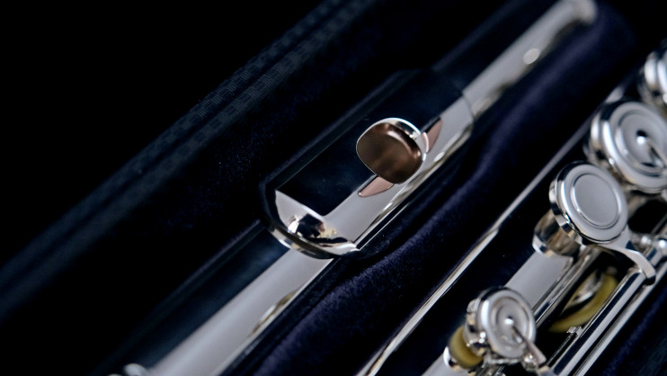 Флейта Brannen Brothers с головкой Lafin 14KR+Adler wings