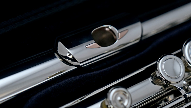 Флейта Brannen Brothers с головкой Lafin 14KR+Adler wings