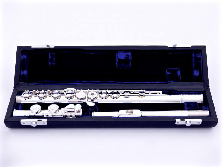 Флейта Di Zhao - DZ 301BEF (б/у)