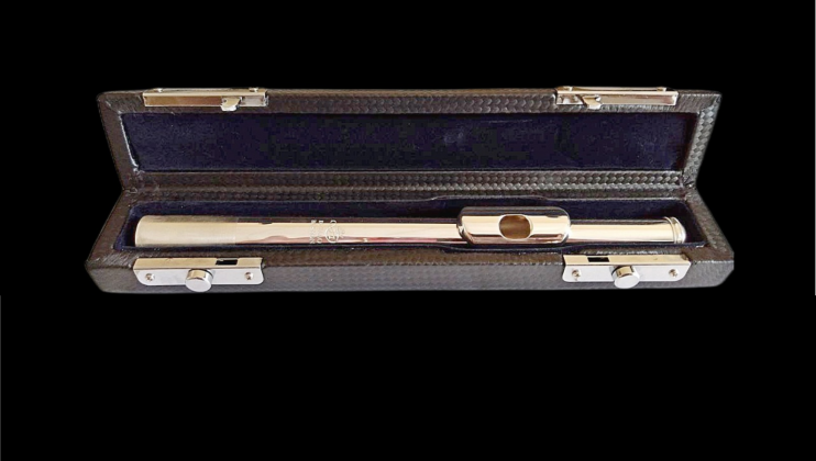 Мастеровая Головка DI ZHAO HANDMADE MODEL PRO с 14К райзером