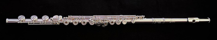 Флейта Haynes Q3OEBC#-14К (PRO/HM)