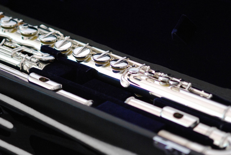 Флейта альтовая - Di Zhao DZA-100S с серебряной головкой