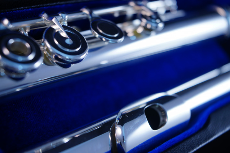 Флейта Haynes Q3 (PRO/HM)