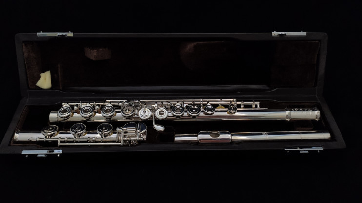 Флейта Di Zhao - DZ 801BEFC#D#