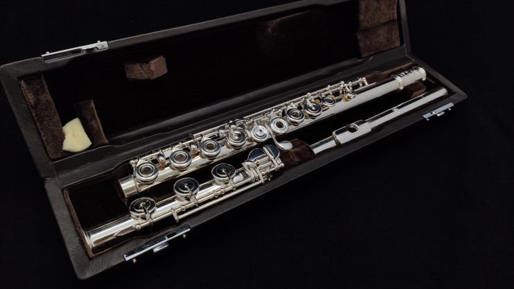 Флейта Di Zhao - DZ 801BEFC#D#