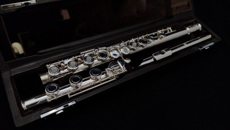 Флейта Di Zhao DZ-501BEF (б/у)