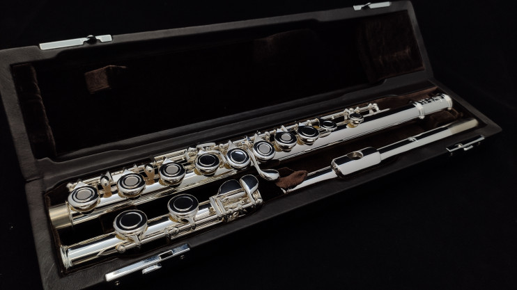 Флейта Di Zhao - DZ 301CEF