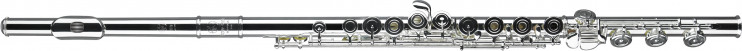 Флейта Tomasi - TFL10-SIB