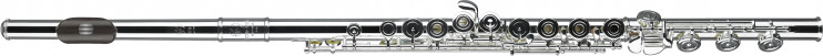 Флейта Tomasi - TFL10-GRB