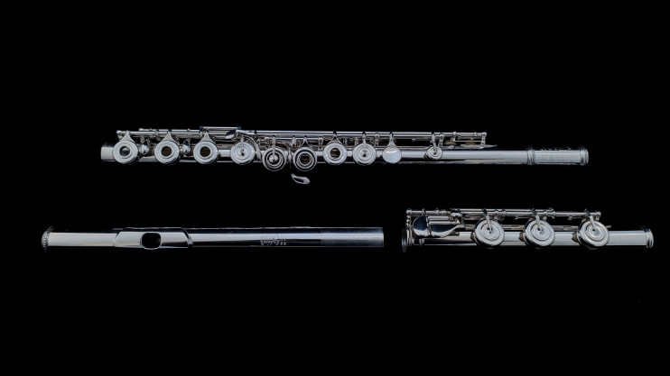 Флейта Haynes Custom 5% gold alloy