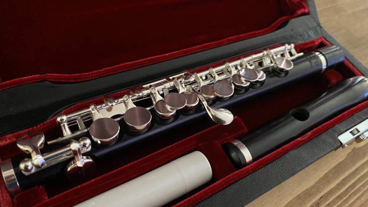 Флейта-пикколо Di Zhao Grenadilla (PRO/HM)