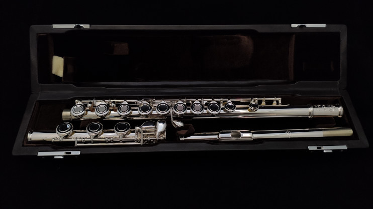 Флейта Di Zhao - DZ 401BGF