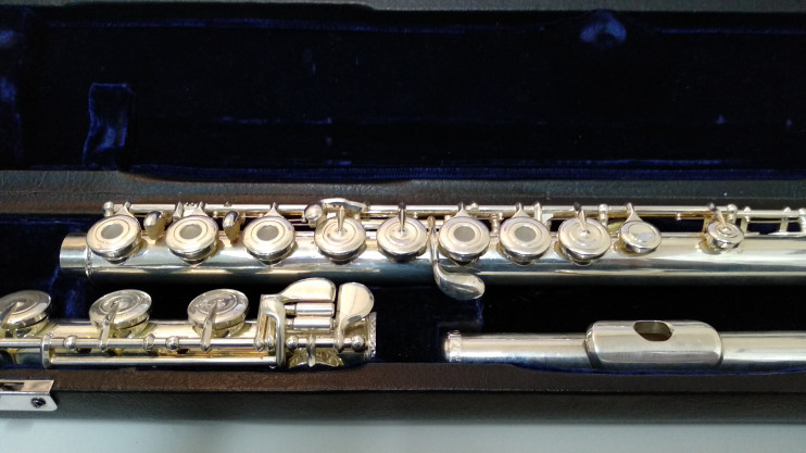 Флейта Trevor James Performers series (б/у)