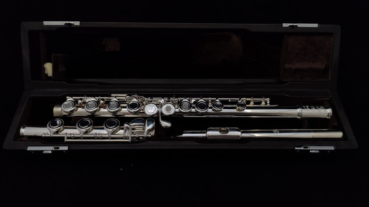 Флейта Di Zhao - DZ 501BEF