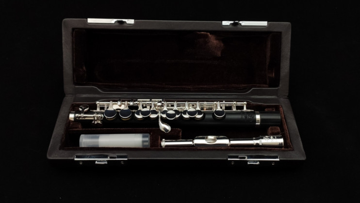 Флейта-пикколо Di Zhao - DZP 101