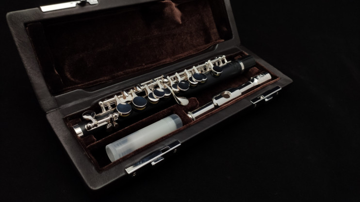 Флейта-пикколо Di Zhao - DZP 101