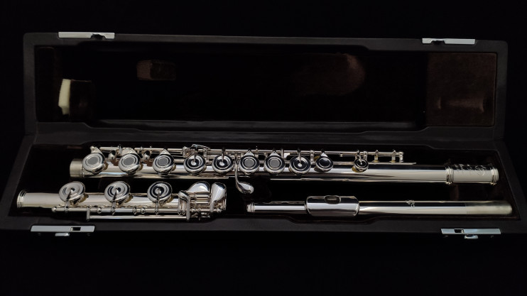 Флейта Di Zhao - DZ 601BGF