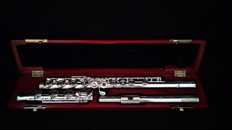 Флейта Di Zhao - DZ 801BEF с доп. трельн. C#D# и зол. райзером 10KR