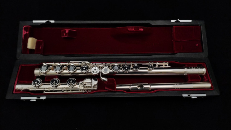 Флейта Di Zhao - DZ-DSP BEF системы Brögger, мастеровая 