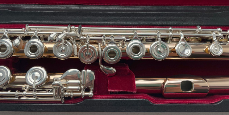 Флейта Di-Zhao DZ GS-D-BEF C#D# (PRO/HM)