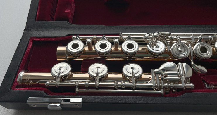 Флейта Di-Zhao DZ GS-D-BEF C#D# (PRO/HM)