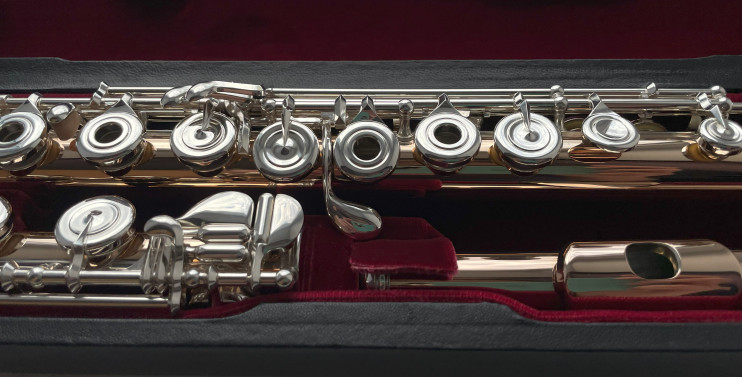 Флейта Di-Zhao DZ GS-D-BEF C#D# (PRO/HM)