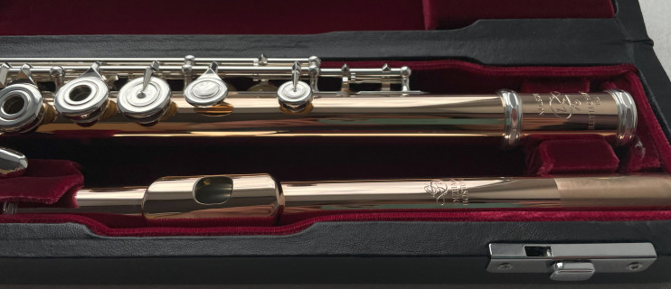 Флейта Di-Zhao DZ GS-D-BEF C#D# (PRO/HM)