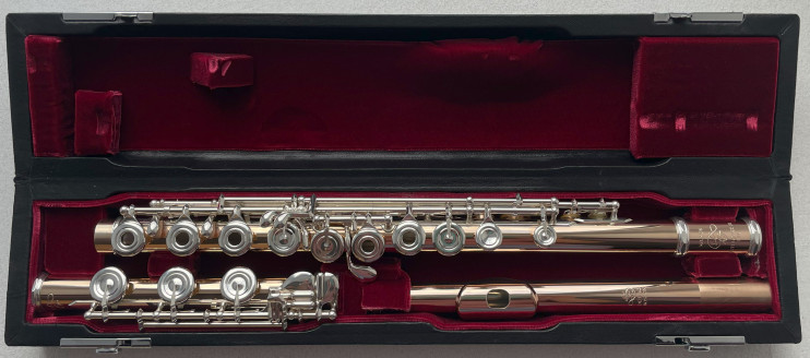 Флейта Di-Zhao DZ GS-D-BEF C#D# (PRO/HM)