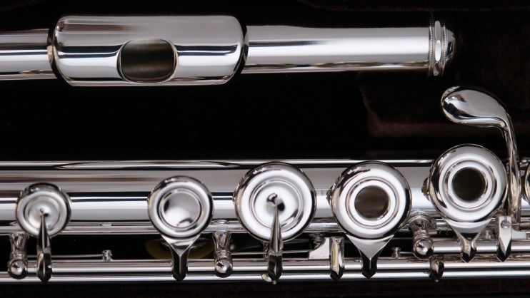 Флейта Di Zhao - DZ 801BEF