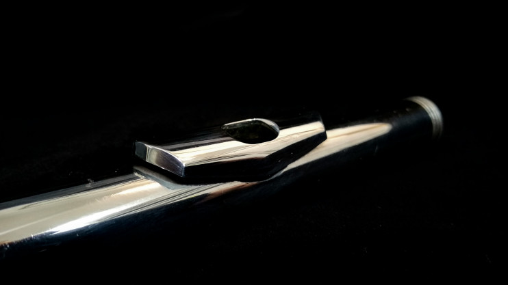 Головка для флейты Landell Argentium 14K райзер