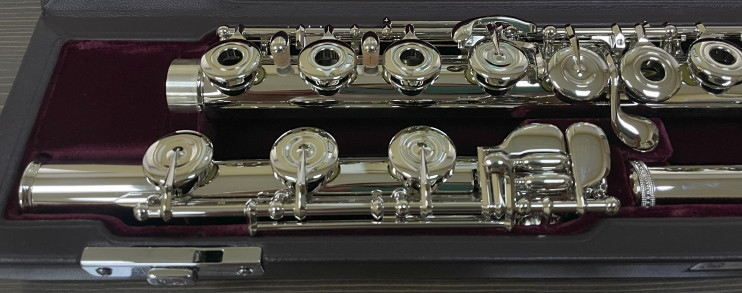 Флейта Muramatsu PTP (PRO/HM)