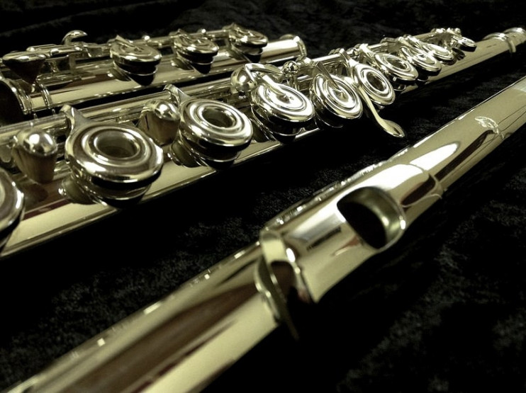 Флейта Di Zhao - DZ-DTHGRC#