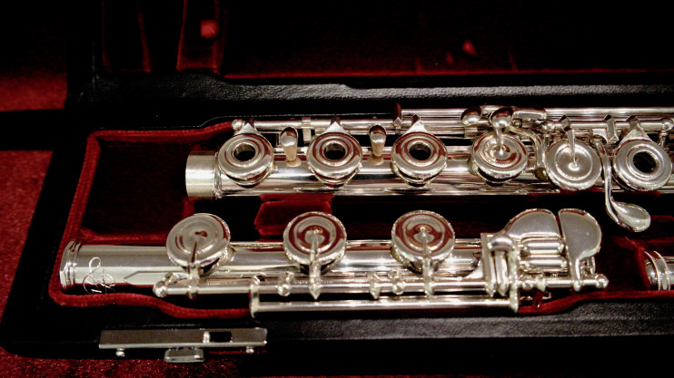 Флейта Di Zhao - DZ-DTHGRC#