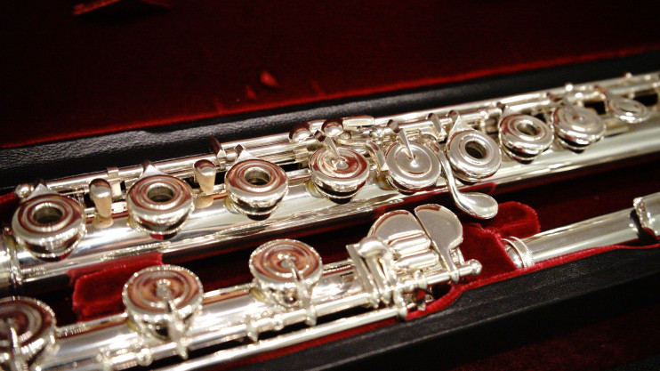 Флейта Di Zhao - DZ-DTHGRC#