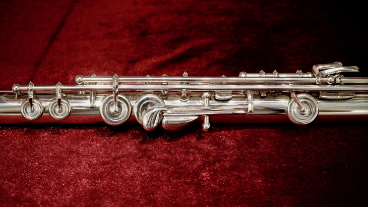 Флейта Di Zhao - DZ-DTHGRC#